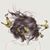 Erica Winters's profile image