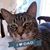 Debbie M. Dodd's profile image