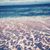 Christine Palmeri's profile image