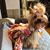 Diane Komp's profile image