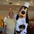 Errol King's profile image