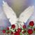 Doris Zaidel's profile image