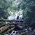 Maggie Parrish Caywood's profile image
