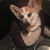 Laurie Cannon Maier Cassidy's profile image