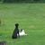 April Carter Hansford's profile image