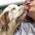 Virginia Robertshaw's profile image