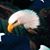 James Judd's profile image