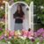 Janice Penton's profile image