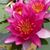 Millie Flecha's profile image