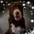 Susan Payne's profile image