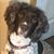 Emma Jeanne's profile image