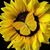 Ruth Ann Robinson's profile image