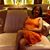 Linda Burns Estes's profile image