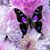 Sharon Whittaker's profile image