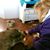 Louise Treherne's profile image