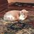 Mark Gebhardt's profile image