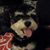 Linda May Leng Murtha's profile image
