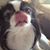 Maryruth Barksdale's profile image
