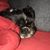 Monica Bell's profile image