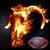 Kelly Nisley's profile image