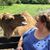 Lori Milak Stolaski's profile image