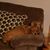 Sherry Reaves Foshie's profile image