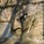 Garrett Messer's profile image