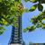 Sherrie L Patterson's profile image