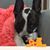 Cassy Combs's profile image