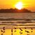 Pat Ledford Wise's profile image