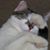 Lynn D Hansen's profile image