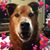 Megan Ciana Rand's profile image
