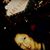 Denise Cuenca's profile image