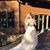 Heidi Dempsey's profile image