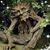 Christy Murdoch Mikesell's profile image