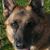 Traci Norba's profile image