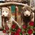 Paula Pinciaro's profile image