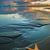 Susan Thomas-Maliszewski's profile image
