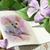 Jesslan Rose Johnson's profile image