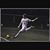 Stevo Bednarsky's profile image