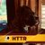 Rick Moran's profile image