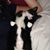 Kelley Carol Billman's profile image