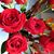 Lea Young's profile image