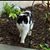 Tracy Schmidlin's profile image