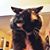 Ann Kampa Stowell's profile image