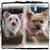 Darlene Smith Cheek's profile image