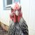 Sandy Miller's profile image