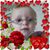 Beth Sheppard's profile image