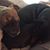 Janneil Dougherty Van Dyke's profile image