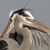 Bill Tweedy's profile image